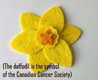 Felt Pin/Brooch for your partner's social action