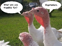 Vegetarian Thanksgiving Recipe Swap