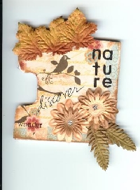 Altered Puzzle Pieces