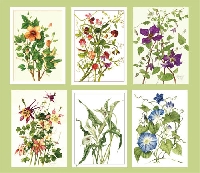 Numerous Notecard Swap