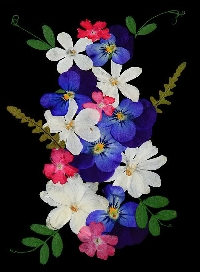 Pressed Flower Swap