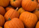 Fill Up My Mailbox for Fall