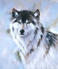 Animal postcard swap #4