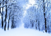 *Winter Wonderland*