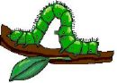 Caterpillar ATC