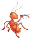 ANT ATC