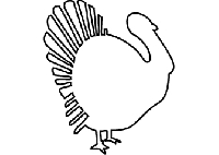 Design a... Series: Turkey