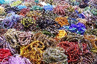 Bead Swap - Itty Bitties