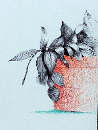 Black, White and a little bit of Red ATC