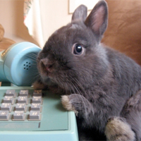 Adorable Photos Email Swap