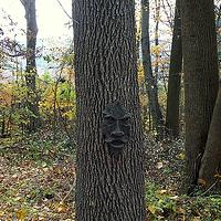 Strange Trees Photo Swap!