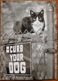 Cat Postcard Swap #2: USA only