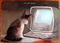 Cat Postcard Swap #2: International