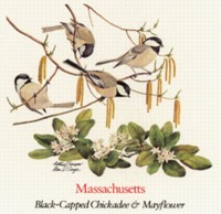 State Bird and State Flower ATC: Massachusetts