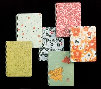 Crazy for notebooks!