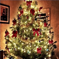 Hometown Christmas