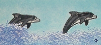 RS Animal Postcard