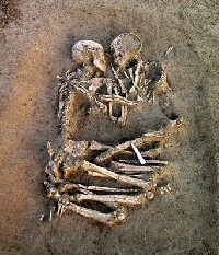 Picture prompt for a short story
