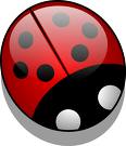 I love ladybugs