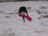 January crochet/knit something Snow related