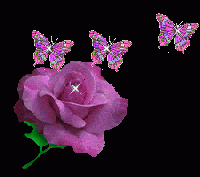 Established Friendship Books/Sheets