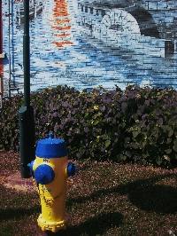 Your photography postcard challenge of street Art,
