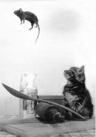 B&W Postcard Swap