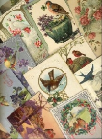 VS- Sweet Birdie ATC