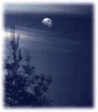 What is paranormal?