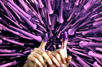Purple Postcards