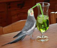 a drink and good conversation 
