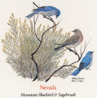 State Bird and State Flower ATC: Nevada