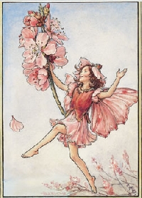 Faerie Journal
