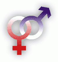 Express Your Sexuality Journal