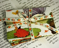 Upcycled Envies,