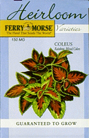 Seeds for My Balcony