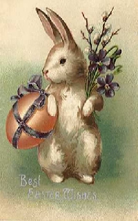 Show me the BUNNY!!! Newbies welcomed! :D