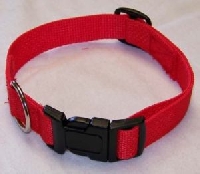 Don't Forget our Pets Like Gifts Too Swap