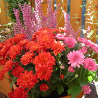 Good Bye Summer/ Welcome Autumn