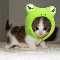 ♥ Favourite Animal Swap ♥