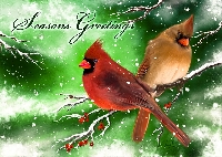 2010 Christmas Cards Around the World