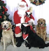 Christmas Card swap - animals