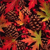 Cozy Up For Fall - Edited