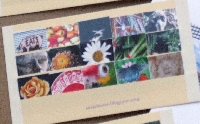 Photo Inchies 2