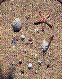 Beach Treasure Matchbox Swap