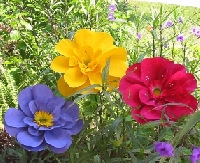 Crafty Recycled Paper Flowers