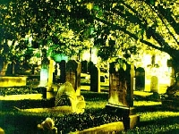True Ghost Stories Email Swap