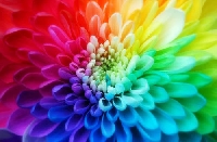 Favorite Color Fun Swap