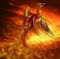 Welcome New Phoenix Rising Members!