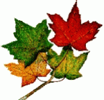 Autumn Inspired - Word Assoc. Swap
